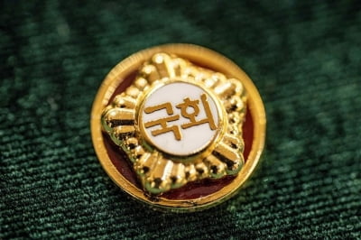 "김현지 누구냐"·"조요토미"…역대급 저질 국감에 한숨 [정치 인사이드]