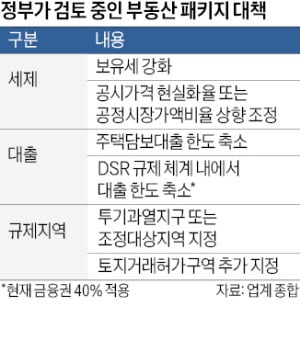 보유세·대출 문턱 높이나 … 정부 '부동산 패키지 대책' 검토