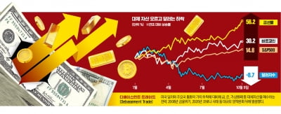 "요즘 누가 달러 사나" 돌변…줄줄이 사들인 '이것' 정체