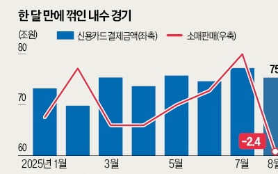 [숫자로 읽는 교육·경제] 소비쿠폰發 '반짝 호황'…온기 벌써 식었다