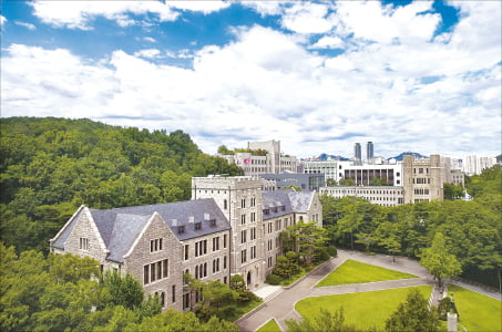 고려대학교 전경.