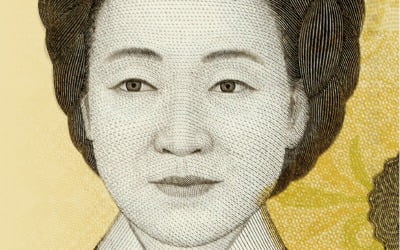 앙골라·콩고도 도입했는데…선진국 유일 '한국만 없다'