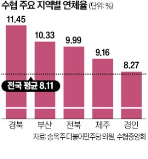[단독] 경북 11%·부산 10%…수협 연체율 '빨간불'
