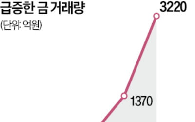 하루 거래대금 3600억…광기 휩싸인 金시장