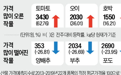 추석 끝나도 사과값 불안…작년보다 60% 비싸