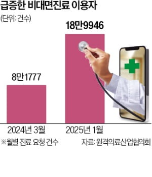 의료대란 공식 종료…비대면진료 중단된다