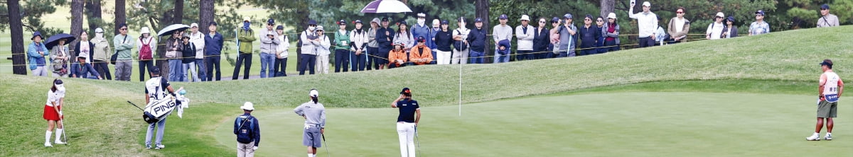 유모차 끌고 온가족 응원전…양주의 가을 물들인 '1만 갤러리'