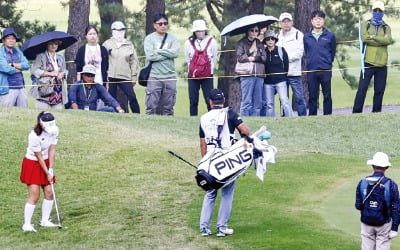유모차 끌고 온가족 응원전…양주의 가을 물들인 '1만 갤러리'