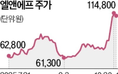 ESS 열풍에 뜬 엘앤에프, 매도 폭탄 주의보