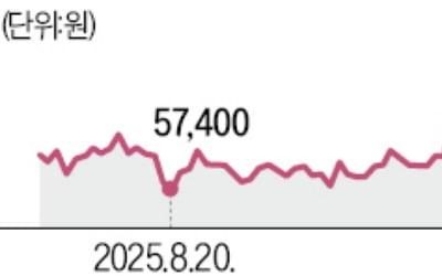 韓美 '마누가' 기대에 뛰는 원전株