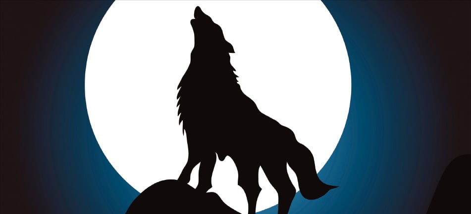 게티이미지뱅크