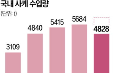수입 주류시장 침체에도…나홀로 술술 팔리는 사케