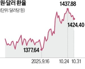 연 200억弗 대미 투자, 환율 상승 불가피