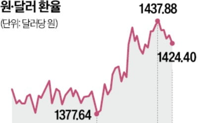 연 200억弗 대미 투자, 환율 상승 불가피