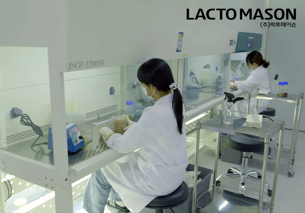 락토메이슨, 근감소증 개선 프로바이오틱스 국제 학술지 게재