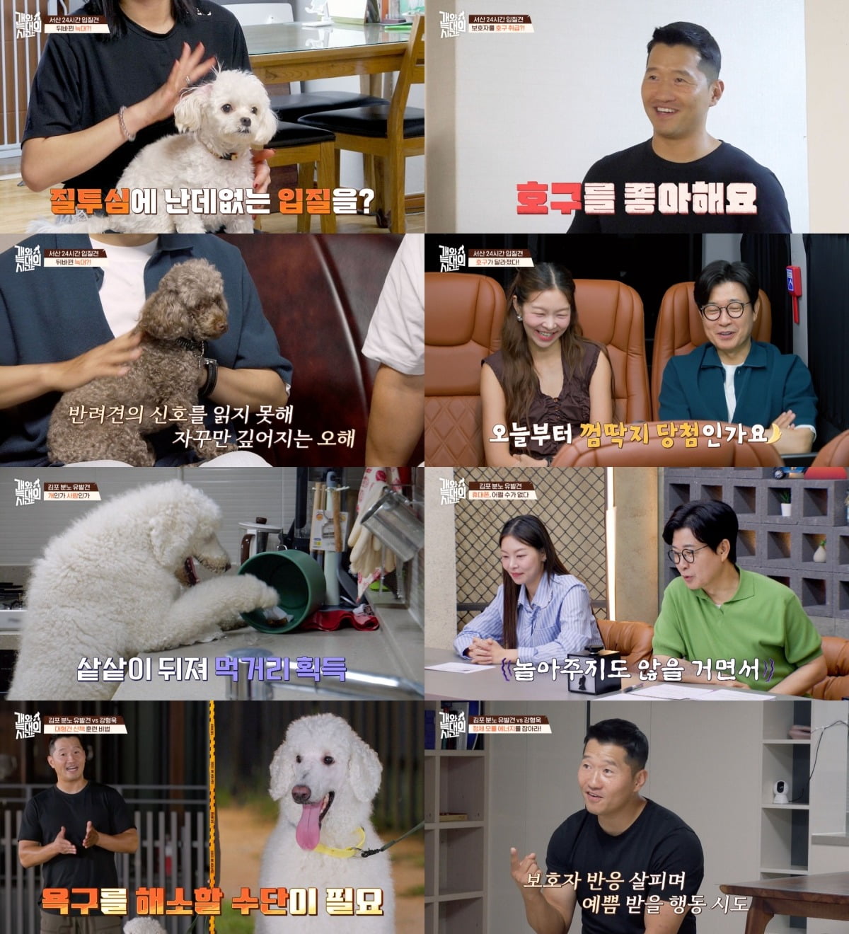 Dog Trainer Kang Hyung-wook Resolves Canine Issues on 'Time of Dogs and Wolves'