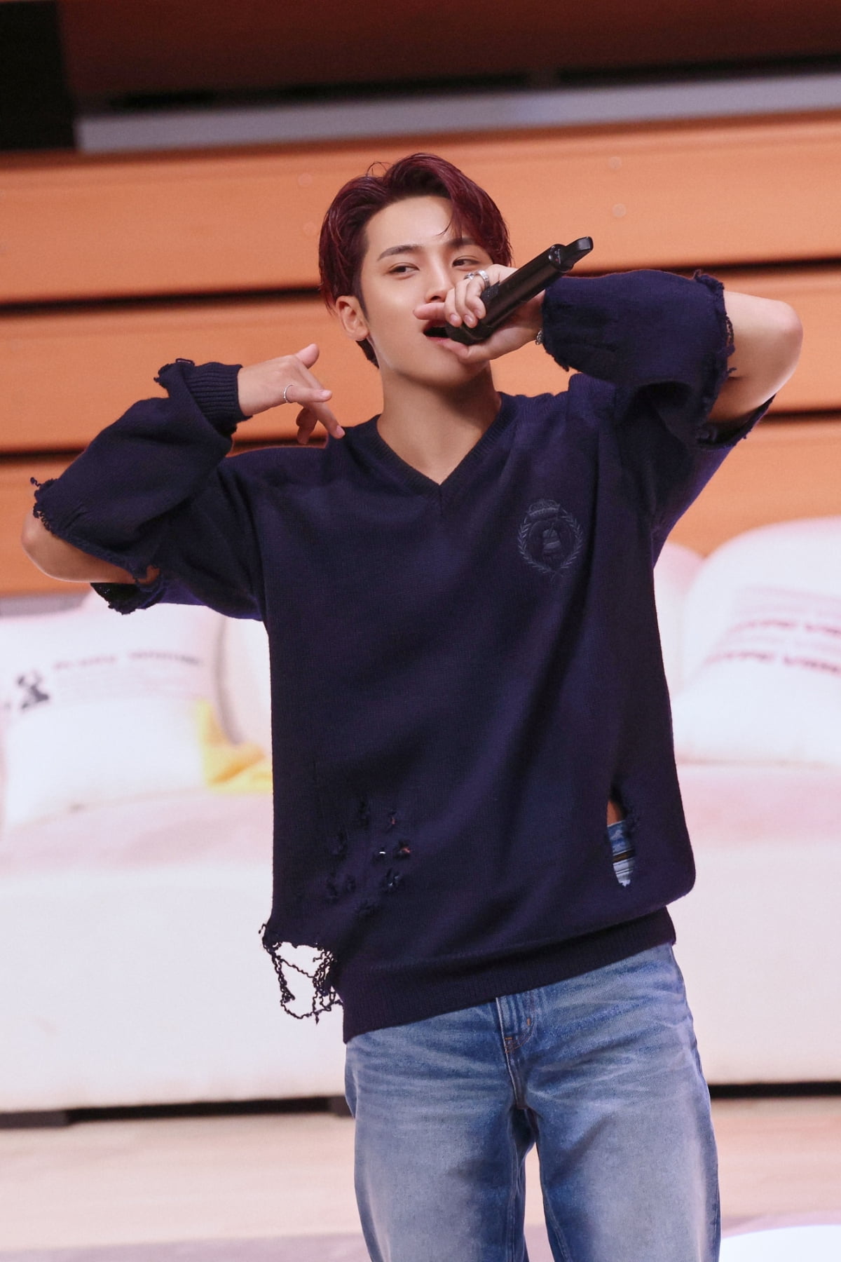 SEVENTEEN's S.Coups and Mingyu Bring 'HYPE VIBES' to Life at Fan Party