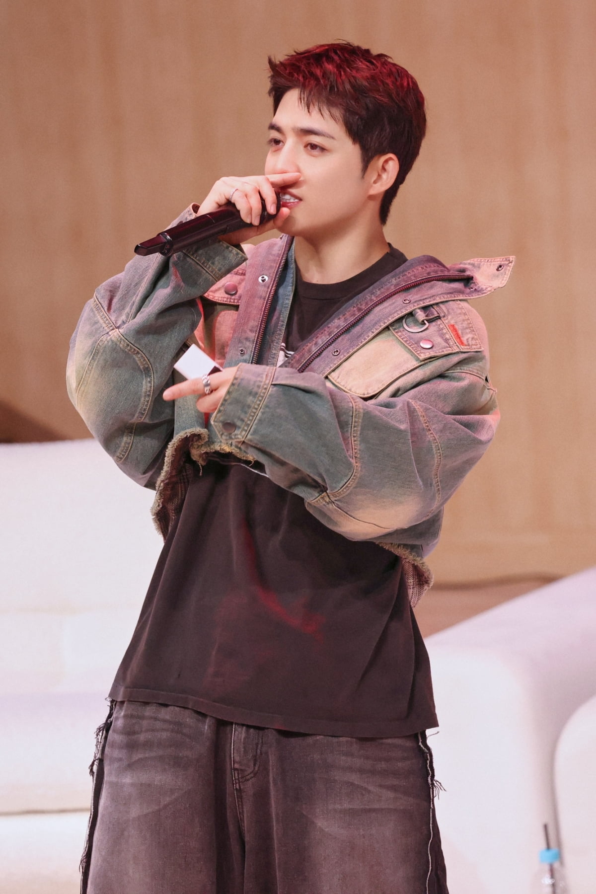 SEVENTEEN's S.Coups and Mingyu Bring 'HYPE VIBES' to Life at Fan Party