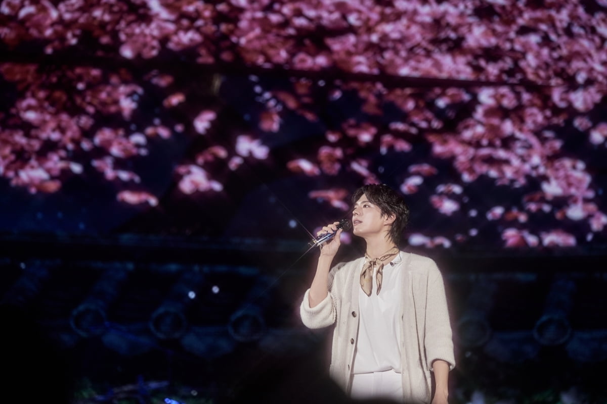 Park Bo-gum Concludes Successful 2025 Fan Meeting Tour with Grand Finale in Seoul