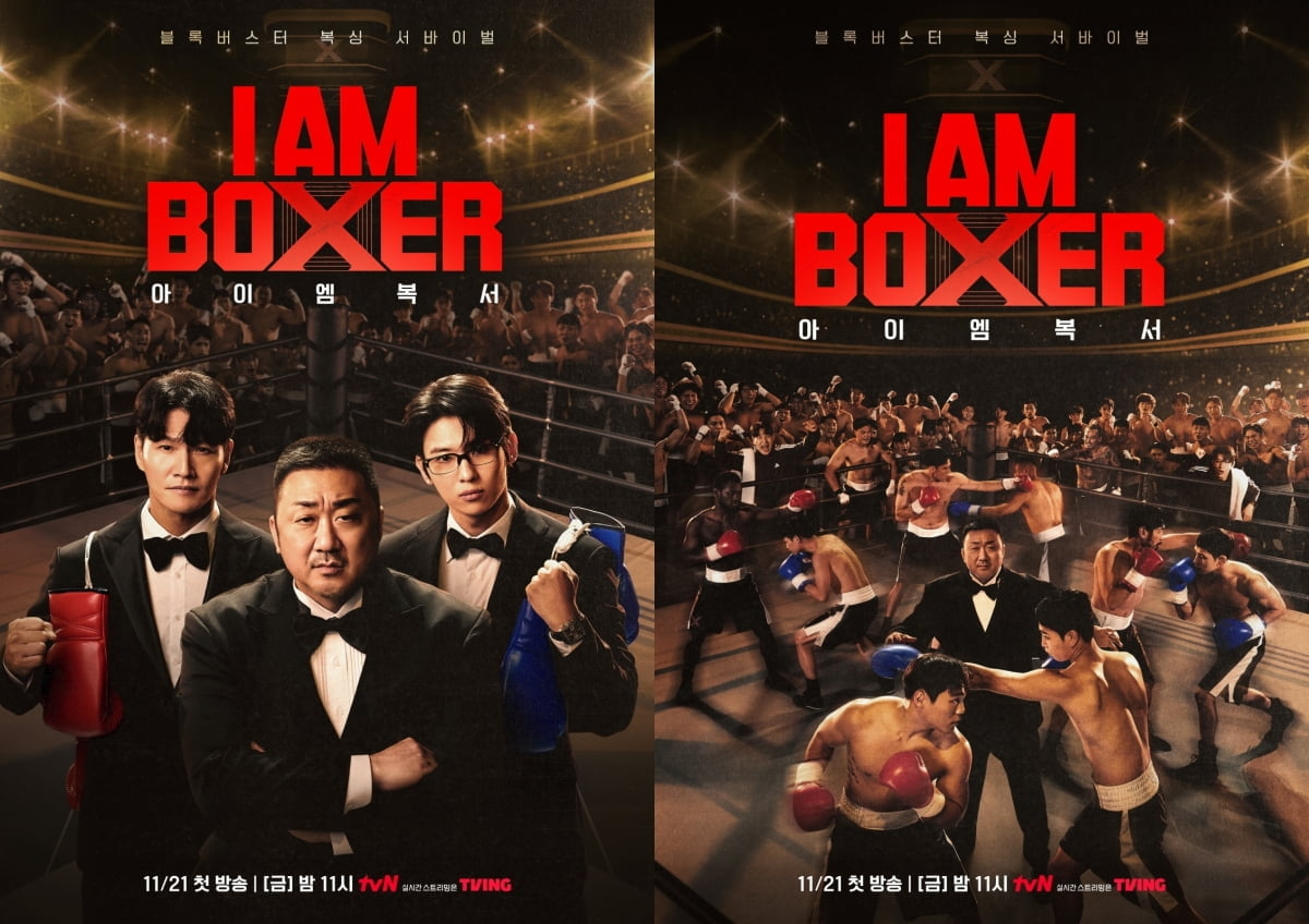 Ma Dong-seok Ventures into Variety Shows with 'I Am Boxer' Amid Mixed Expectations