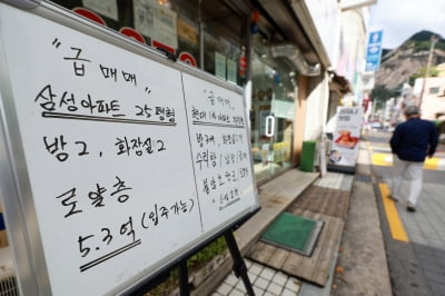 '12억이면 마포아파트 산다'…실수요자들, 눈높이 낮췄더니
