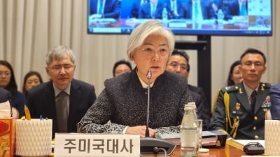 강경화 "한미 이견 조율중…APEC서 생산적 정상회담 기대"