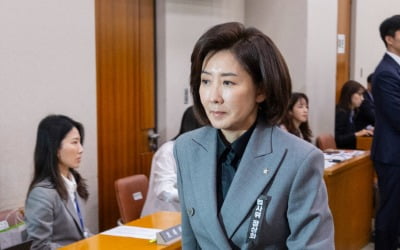 나경원 배우자 김재호 춘천지법원장, 국회 법사위 국감 출석