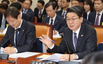 "묵혀둔 자사주, 이제는 소각할 때"…정부·여당 연내 개정 움직임