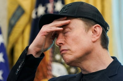 머스크, 괜히 정치했나…테슬라 관련 충격 보고서 나왔다