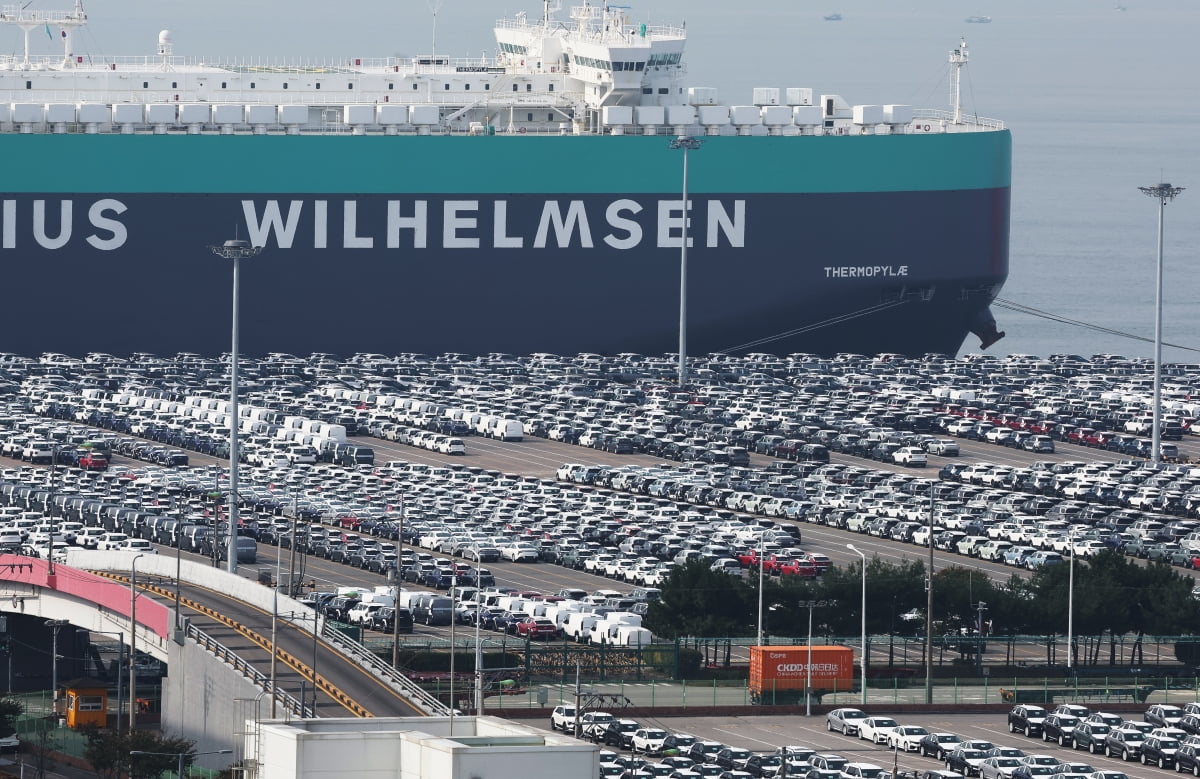 경제 관련 이미지 - 속보