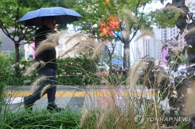 전국 흐리고 대부분 지역에 가을비…경상 동해안 강풍 조심