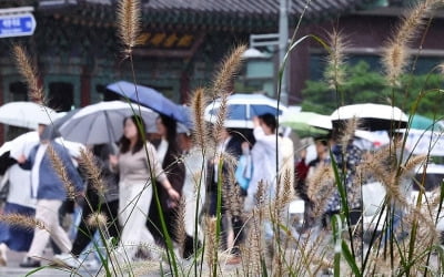 전국 흐리고 비…아침 시간당 20㎜ 내리는 곳도