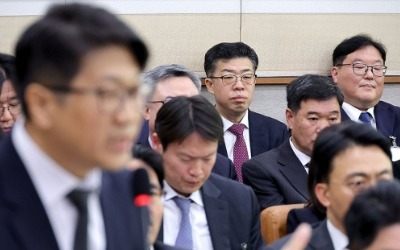 '쿠팡 외압 의혹' 엄희준 "尹정무수석 수사 때 박성재가 쌍욕"