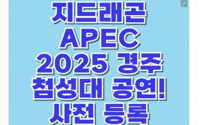 "지드래곤 첨성대서 APEC 축하 공연" 알고 보니 가짜뉴스
