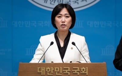 與, 국힘 '중국인 3대 쇼핑 방지법'에 "혐중 정서 자극" 맹비난