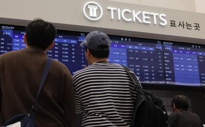 지역관광 APEC이 살리나…'부산·경주' 고속버스 외국인 예약 185%↑