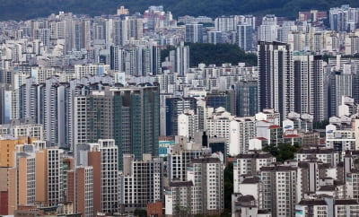 "대책 또 나온다고? 얼른 계약"…중개업소 전화통에 불났다 [돈앤톡]