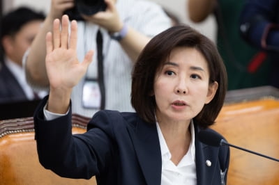 나경원, 법사위 국감 출석한다…전현희 "명백한 이해충돌"