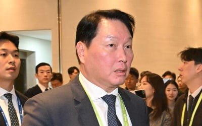 최태원, AI 버블 일축…"막대한 메모리 용량 필요할 것"