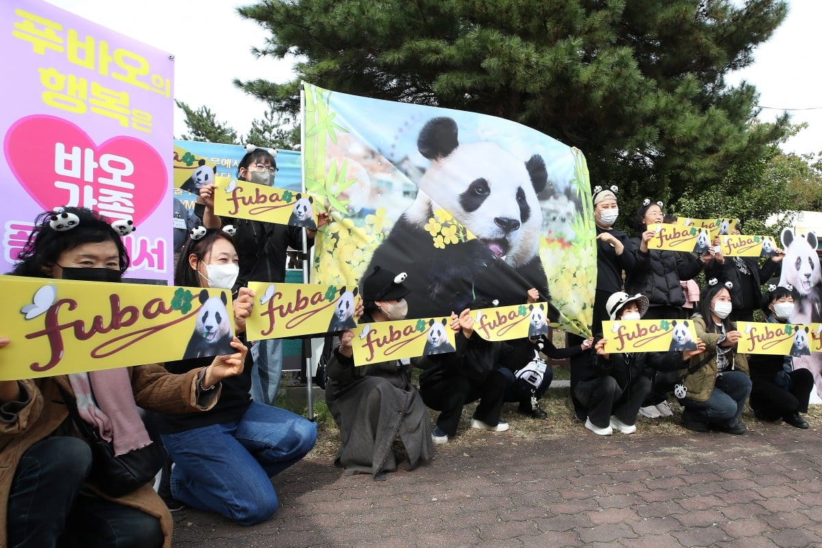 "푸바오 돌아와" 외친 푸덕이들…시진핑 경주 방문 맞춰 집회 [APEC 2025]