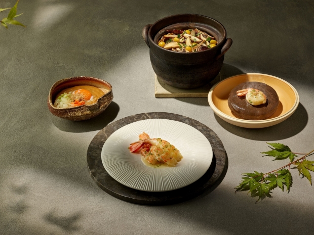 가을은 송이버섯의 계절!