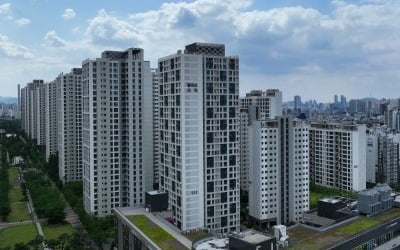 "내 사돈도 송파 주민이었으면"…헬리오시티 '결정사' 등장