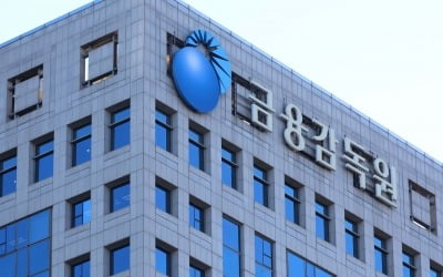 금감원 퇴직자, 증권사·코인거래소로 속속 이동