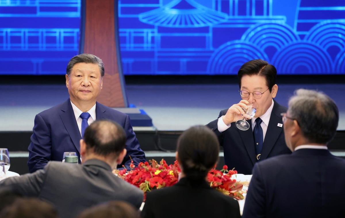 李 대통령 "한·중 공동 성장하자"…시진핑 "우호 전통 계승"