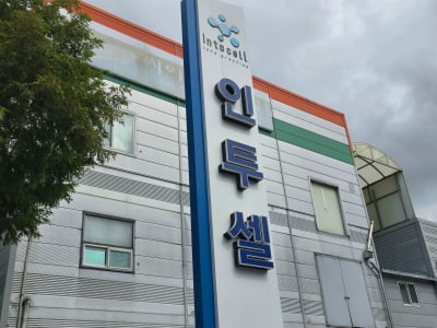 인투셀, 미 FDA서 고형암 치료제 후보의 임상 1상 진입 승인받아