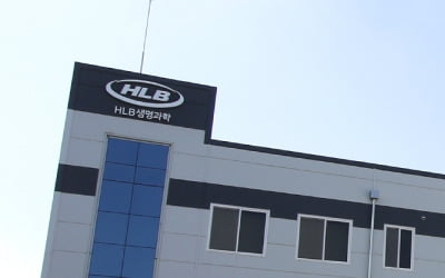 "첫 해외투자 유치"…계열사 줄줄이 20%대 상승한 이 그룹