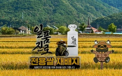 소주 만드는데 이런 정성이…하이트진로가 소주용 쌀 키우는 사연