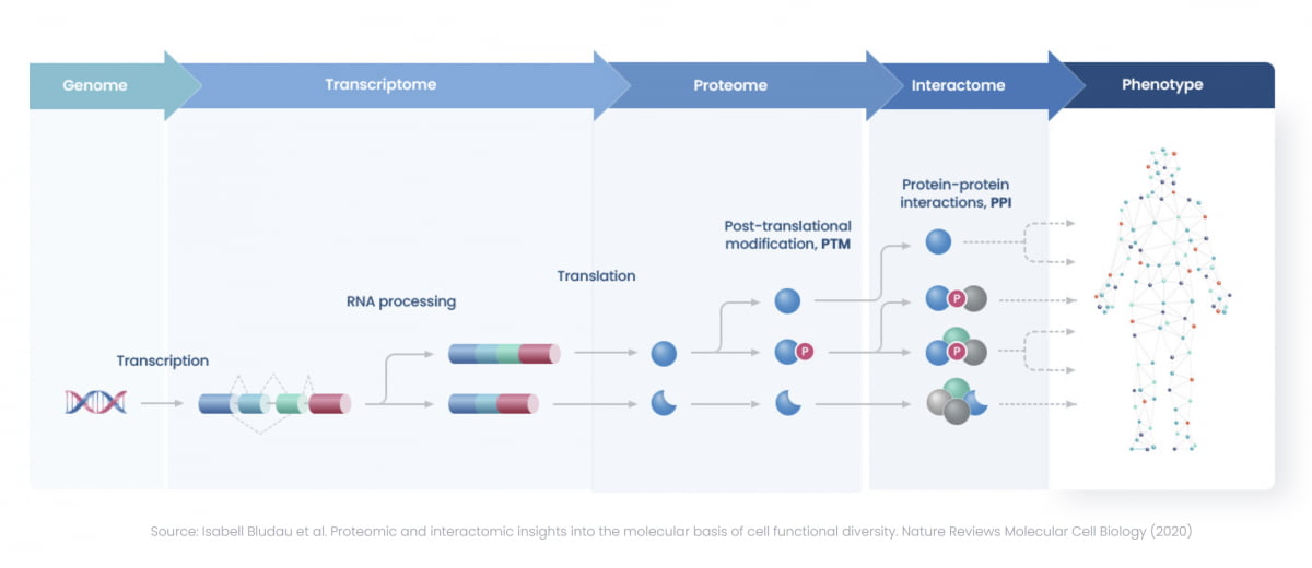 프로티나, AI로 '항체 바이오베터' 만든다...470억 국책 과제 수주