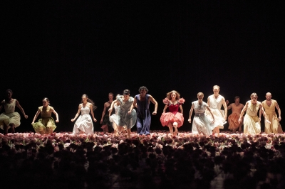 9000송이 카네이션과 경계를 지우다...피나 바우쉬 <카네이션>