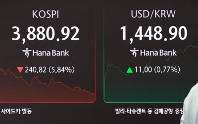 장중 3900선마저 붕괴한 코스피...7개월만에 매도 사이드카 발동 [HK영상]